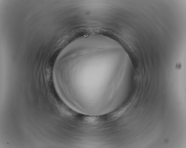 X0000090780139200708172135