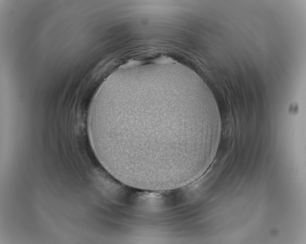 X0000090780140200708172135