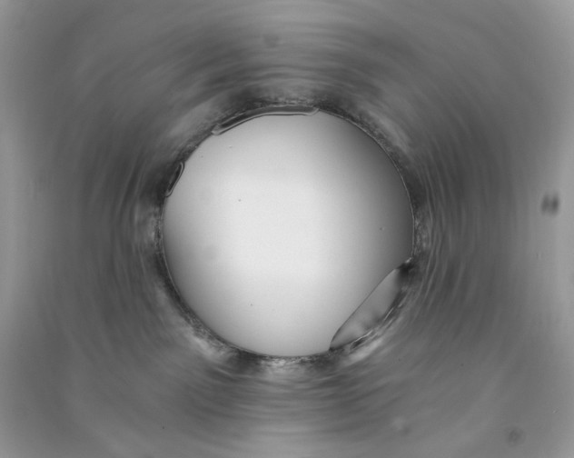 X0000090780141200708172135