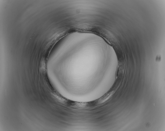 X0000090780143200708172135