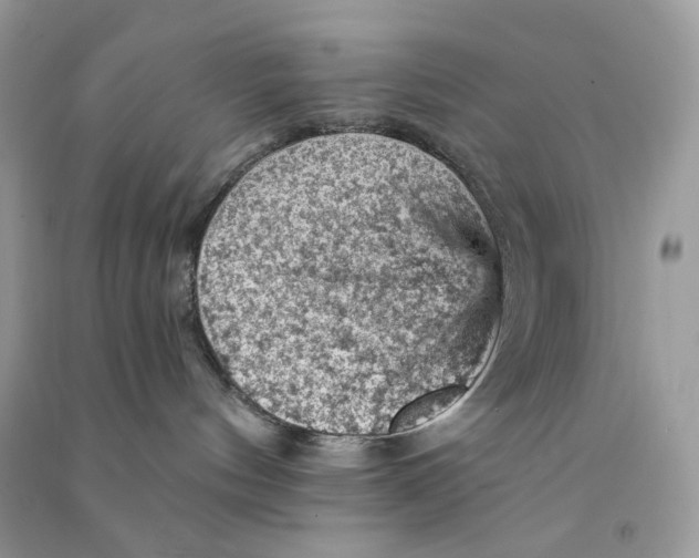 X0000090780144200708172135
