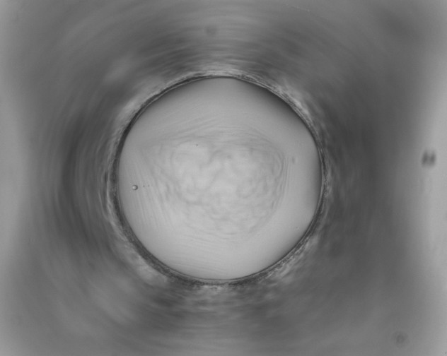 X0000090780145200708172135