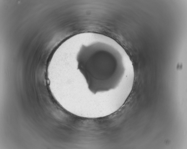 X0000090780146200708172135