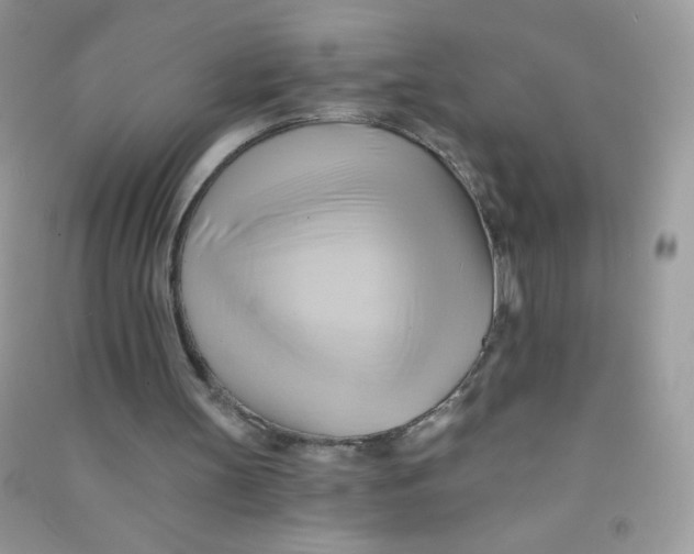 X0000090780147200708172135