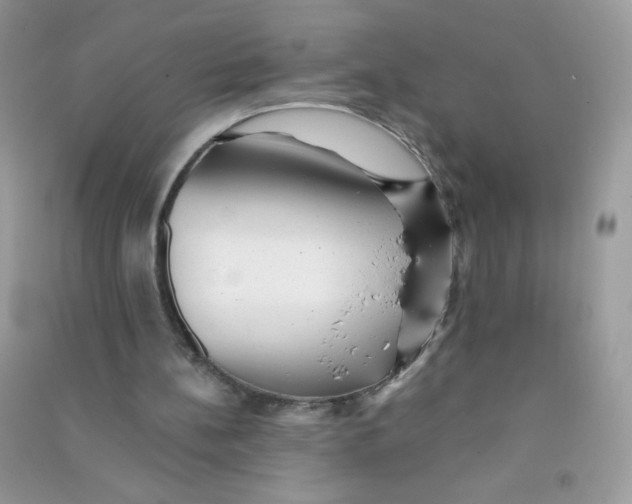 X0000090780148200708172135