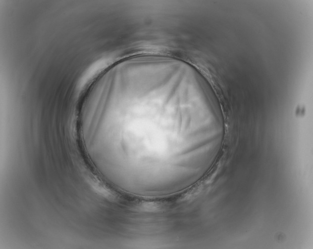 X0000090780149200708172135