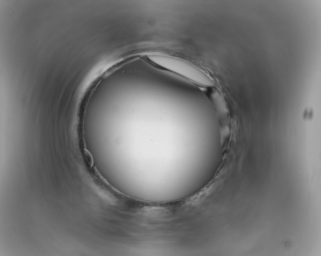 X0000090780150200708172135