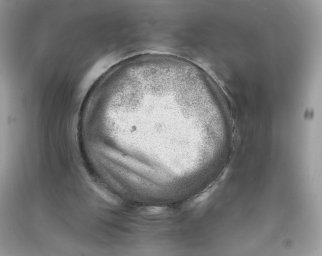 X0000090780151200708172135