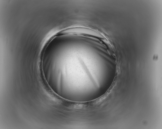 X0000090780152200708172135