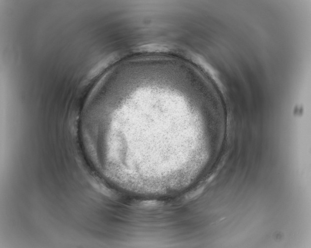 X0000090780153200708172135