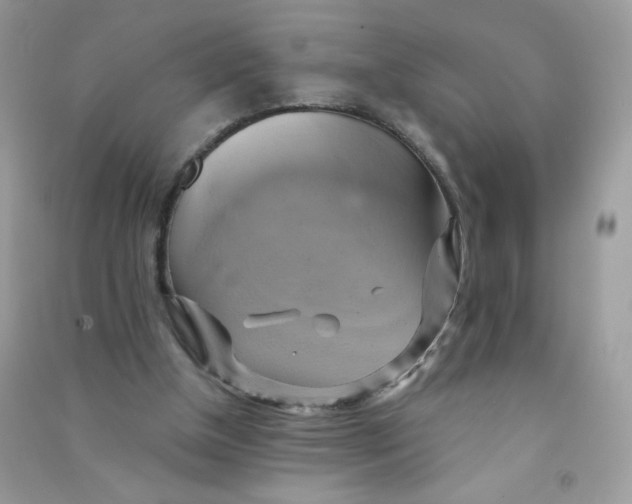X0000090780154200708172135
