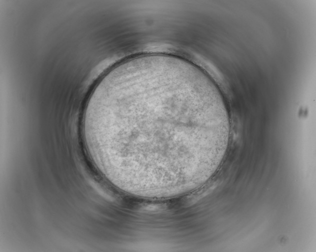 X0000090780155200708172135