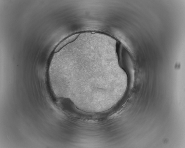 X0000090780156200708172135