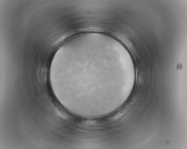 X0000090780157200708172135