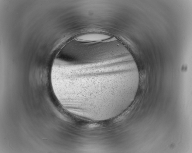 X0000090780158200708172135