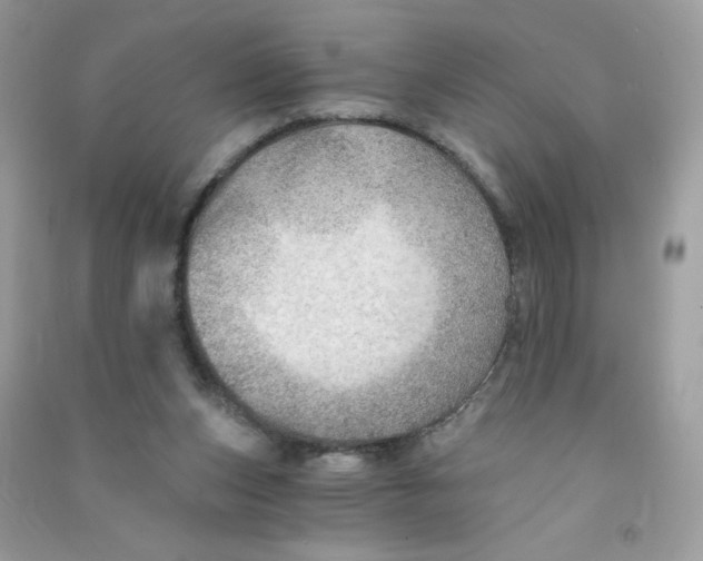X0000090780159200708172135