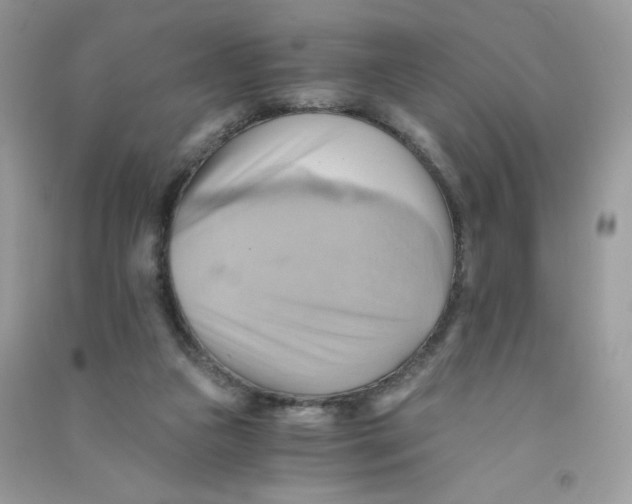 X0000090780161200708172135