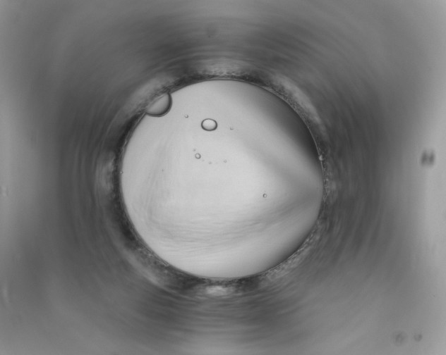 X0000090780163200708172135