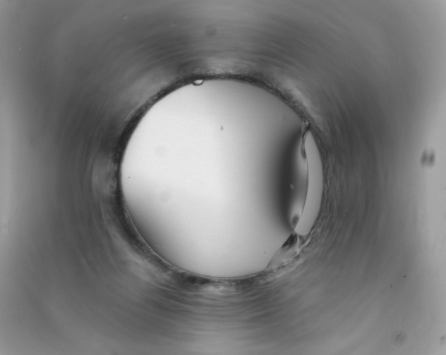 X0000090780164200708172135