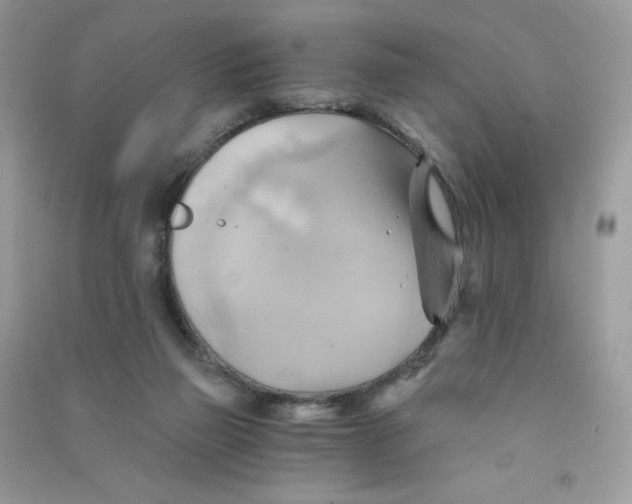 X0000090780165200708172135