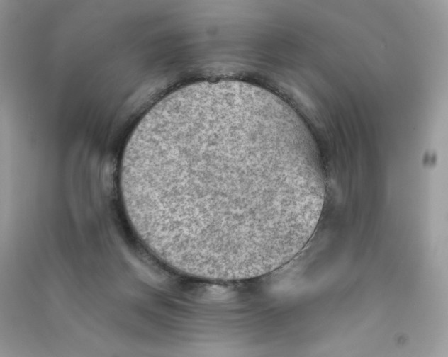 X0000090780166200708172135