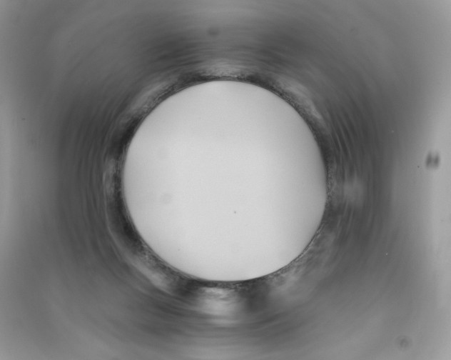 X0000090780167200708172135