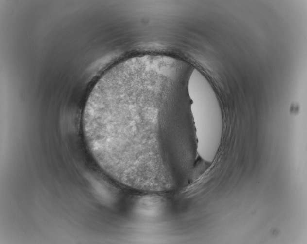 X0000090780168200708172135