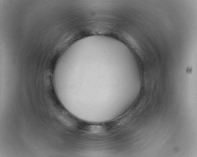 X0000090780169200708172135