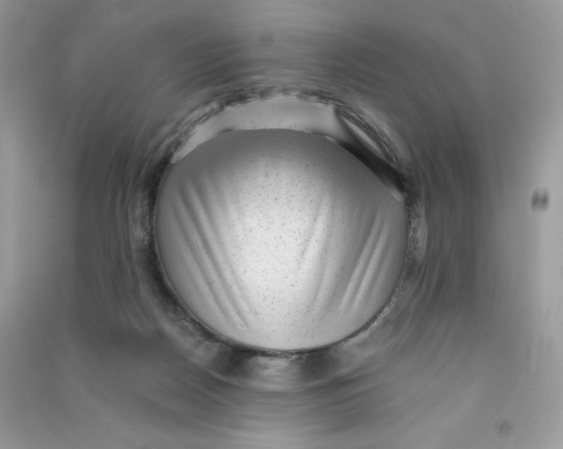 X0000090780170200708172135