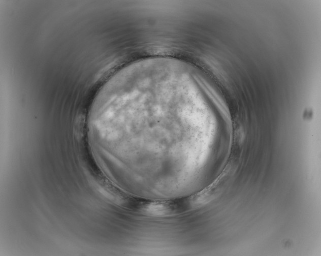 X0000090780171200708172135