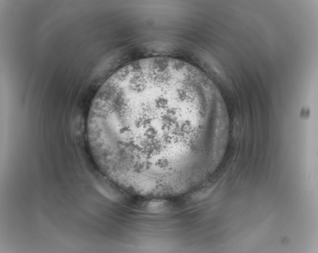 X0000090780173200708172135