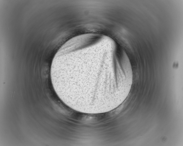X0000090780174200708172135