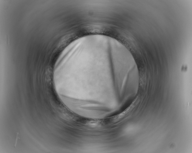 X0000090780175200708172135