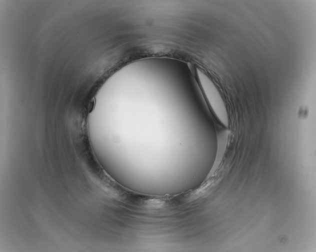 X0000090780176200708172135