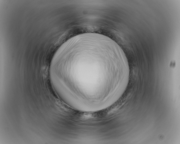 X0000090780177200708172135