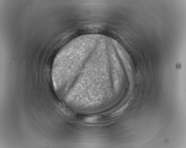 X0000090780178200708172135