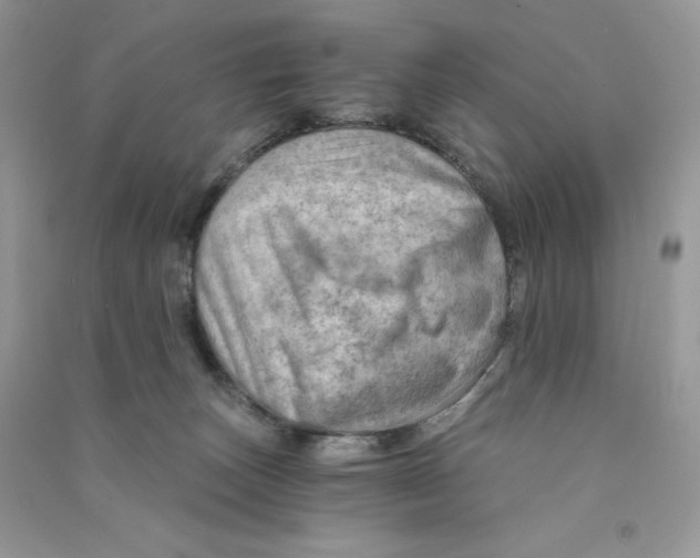 X0000090780179200708172135