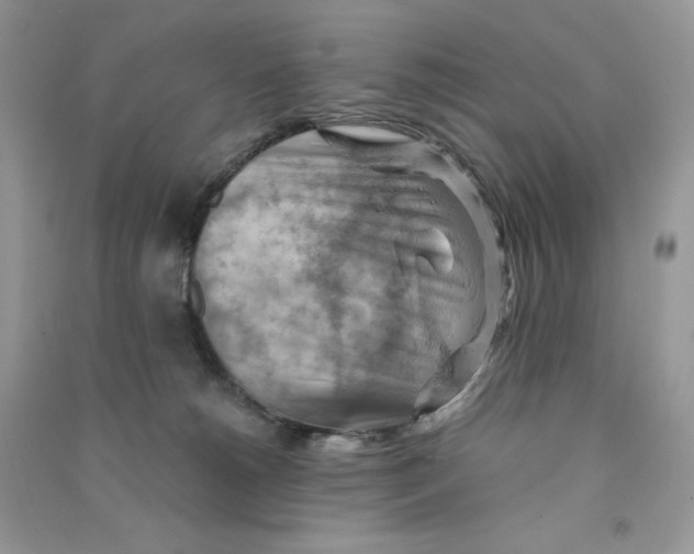 X0000090780180200708172135