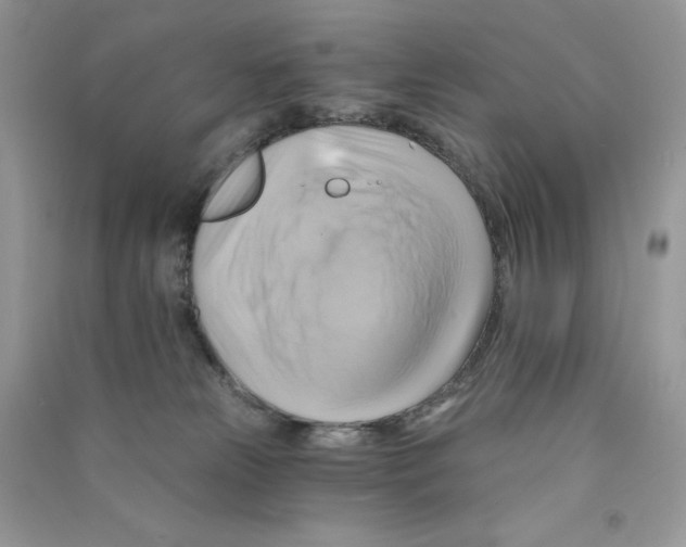 X0000090780181200708172135