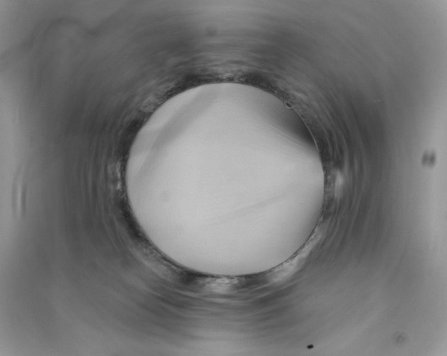 X0000090780182200708172135