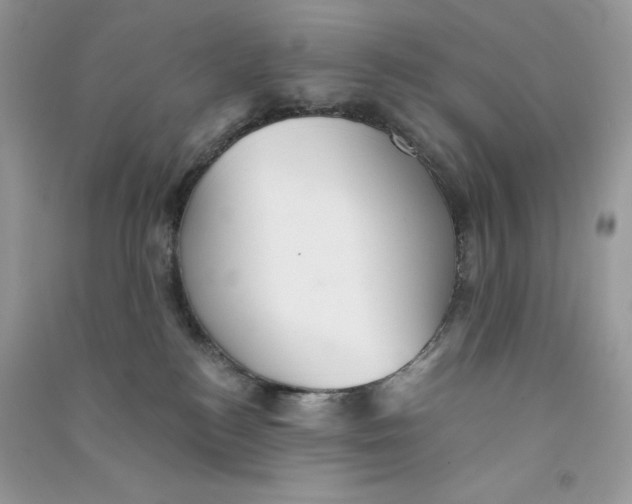X0000090780184200708172135