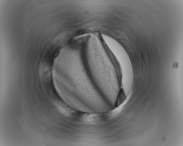 X0000090780186200708172135