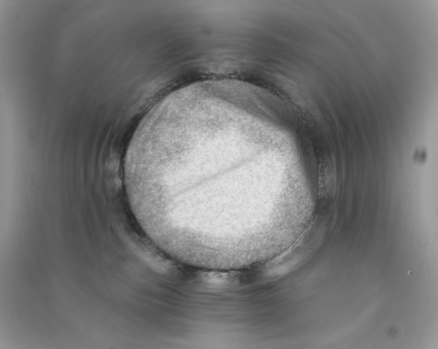 X0000090780187200708172135