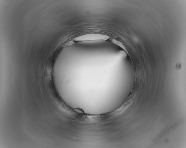 X0000090780188200708172135