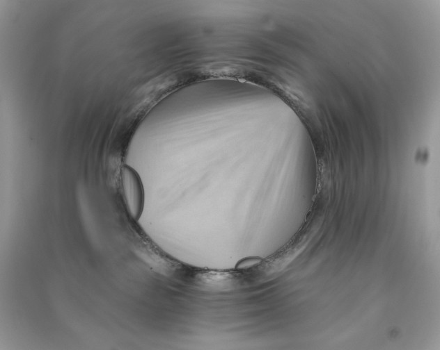 X0000090780189200708172135