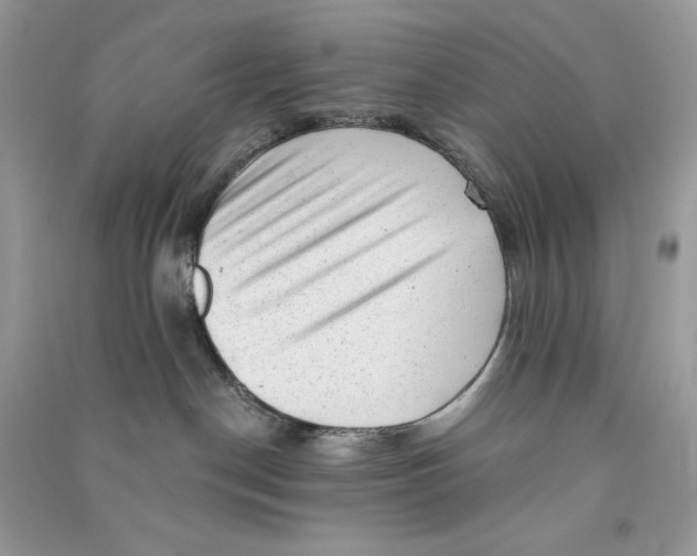 X0000090780190200708172135