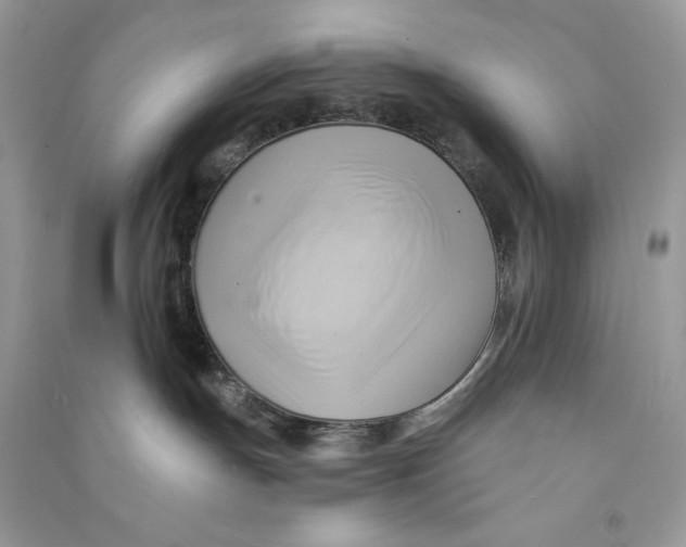 X0000090780191200708172135