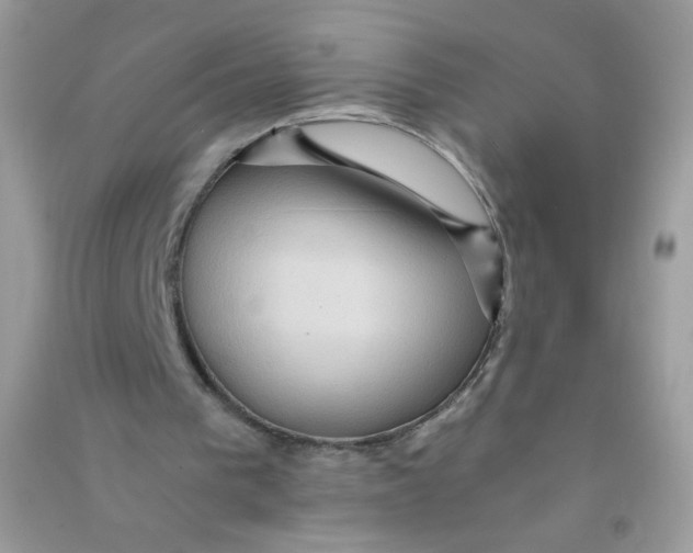 X0000090780193200708172135