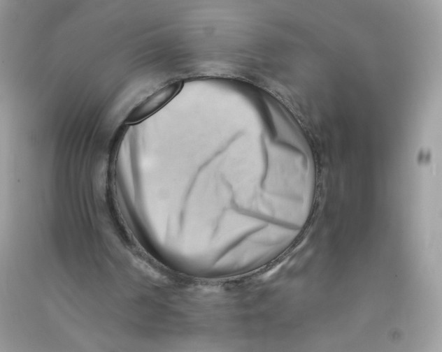 X0000090780194200708172135