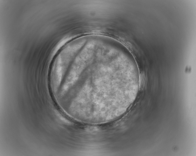 X0000090780195200708172135